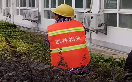 凯林物业